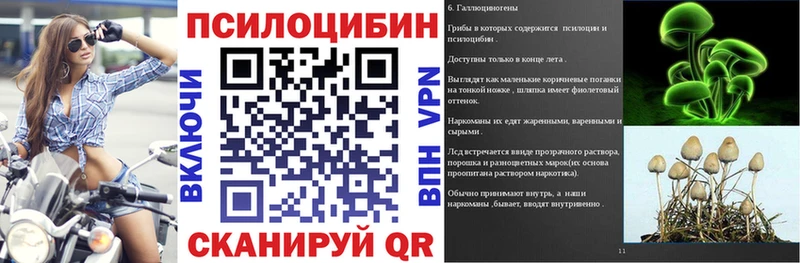 что такое наркотик кракен зеркало Псилоцибиновые грибы Psilocybe Лебедянь